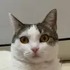 adriansago - @nosoyadriansago - TikTok