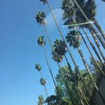 Adrian Sampson - @justadrians - Instagram