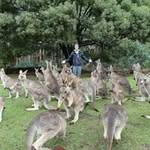 Adrian Schofield - @adrian.schofield - Instagram