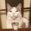 Adrian - @adriansenny - TikTok