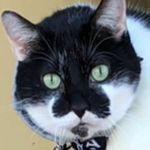 Adrian Silver - @quicksilverskies - Instagram