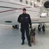 adriansimionescu58 - @adriansimionescu58 - TikTok