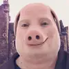 John pork #3 - @adriansimic6 - TikTok