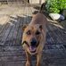 Adrian Simms - Facebook