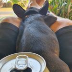 Adrian Sinnott - @adrian_sinnot - Instagram