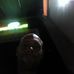 Adrian Solkema - Facebook