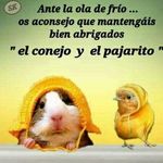 adrian soltero cala - @adriansolterocala - Instagram