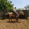 Adrian Souza - @adriansousa27 - TikTok