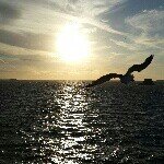 Adrian - @adrian.spano - Instagram