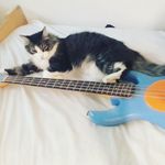 Adrián Sparrow - @gathor2021 - Instagram