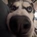 Adrian Spiker - Facebook