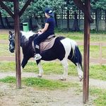 adrianspinelli - @adrianspinelli1234 - Instagram