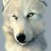 Adrian Starkey - Facebook