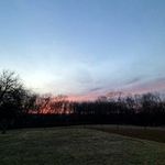 Joe bob - @adriansteed_3 - Instagram