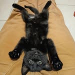 Adrian Stucki - @stuck.i78 - Instagram