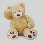 Adrian Sutter - @adrianted16 - Instagram