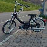 Adrian Tanner - @adrian._tanner - Instagram