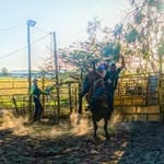 Adrian Tavares - @adrian.tavares.7503 - Instagram