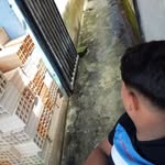 Adrian Tavares - @adrian_tavares__ - Instagram