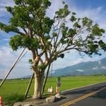 Adrian Teng - @ibookrun - Instagram