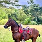 Adrian Teran - Facebook