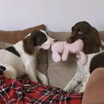 Adrian Terry - @adrian.terry75 - Instagram