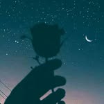 adrian_testa_testa - @adri_testa989 - Instagram