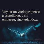 jorge42 - @adrian.testavl - Instagram