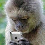 Adrian Eng Thong - @adrianengthong - Instagram
