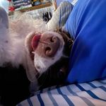 Adrian Thorne - @adrianthorne716 - Instagram