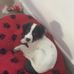 Adrian Timms - Facebook