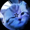 Adrian Toader - @adrian.toader4 - TikTok