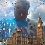 Adrian Toader - @adrian.toader.794 - Instagram