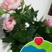 Adriana Toader - Facebook