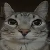 adriantoby - @adriantobyy - TikTok