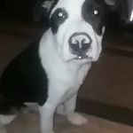 Adrian Tompkins - @yoo.boi.adrian - Instagram
