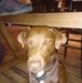 Adrian Tonge - Facebook