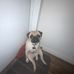Adrian Toombs - Facebook