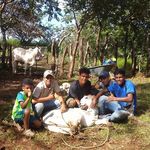 Adrian Toribio - @toribio_jr - Instagram