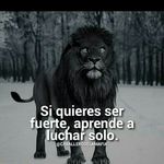 Adrián Toribio - @adrian.toribio.522 - Instagram