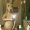 adrian torrealba - @adriantorrealba3 - TikTok