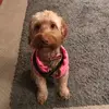 adriantownsend981 - @adriantownsend981 - TikTok