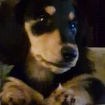 Adrian Tracey Tiley - @adrian.tiley.13 - Instagram