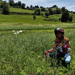 Dowis Adrián Trigo︎ - @luisnst42 - Instagram