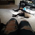 Adrian A. Trimble - @adriana.trimble - Instagram