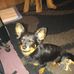 Adrian Trumble - Facebook