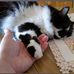 Adriana Trotto - Facebook