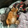 Adriana - @adrianatrudeau - TikTok