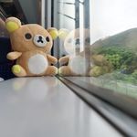 Adrian Tsang - @adrian_tsang_1108 - Instagram