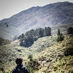 Adrian Tsang - @adriantsang421 - Instagram